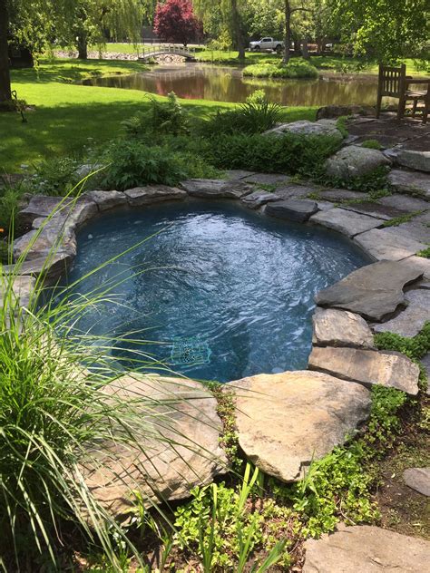 How to build a new in ground backyard pond with video – Artofit