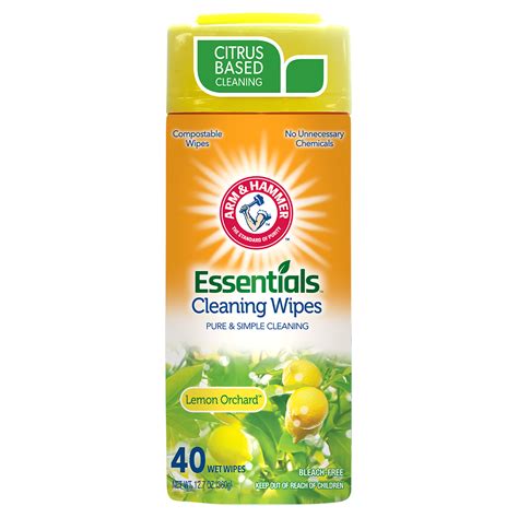 ARM & HAMMER Disinfecting Wipes Renewing Rain 40 ct | Shipt