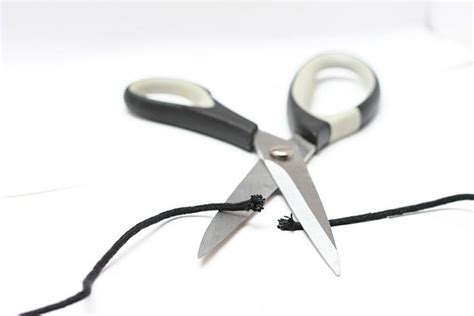 Image result for 2 Spring Cut the String