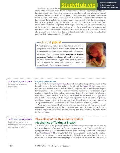 Anatomy Of The Respiratory System | PDF