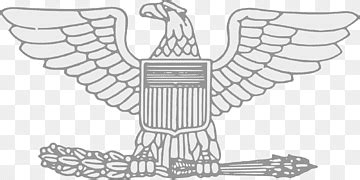 Image result for Colonel Rank No Background