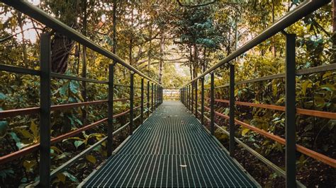 Wallpaper bridge, metal, trees, bushes, plants hd, picture, image