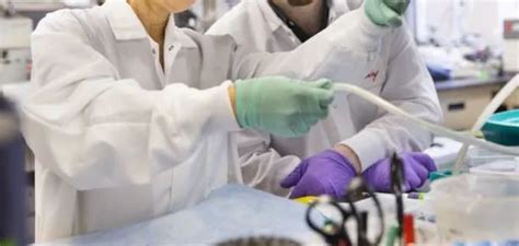加拿大院士偕5名博士来青:用纳米研发抗癌新药 - 青岛新闻网