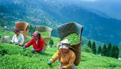 10 Best Workation Destinations In India For A Better Work-Life Balance