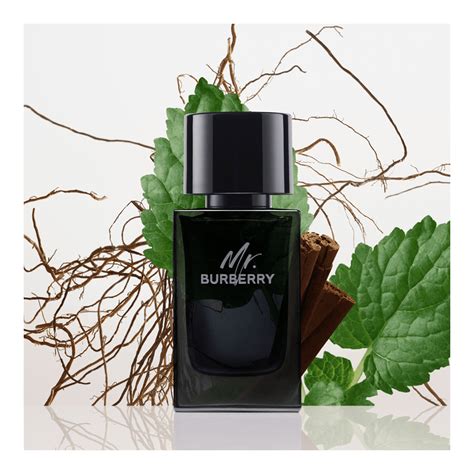 Mr. Burberry Eau De Parfum • 100ml