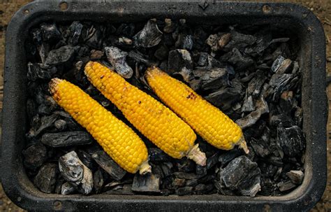 Lana+Rhoades+Hot Photos, Download The BEST Free Lana+Rhoades+Hot Stock Photos & HD Images