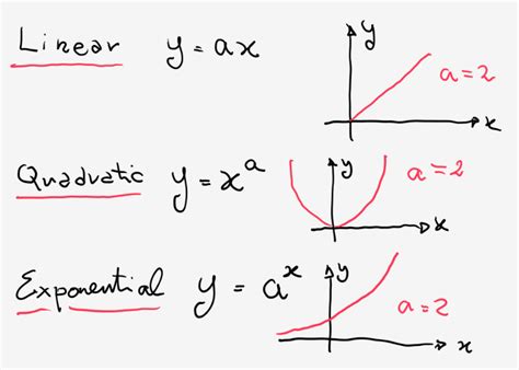 Image result for Exponential Graphs Maths