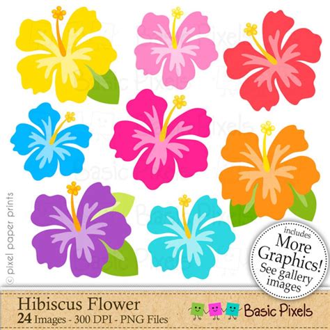 Hibiscus Clipart - Hibiscus Flower - Clip Art - Commercial Use - Etsy