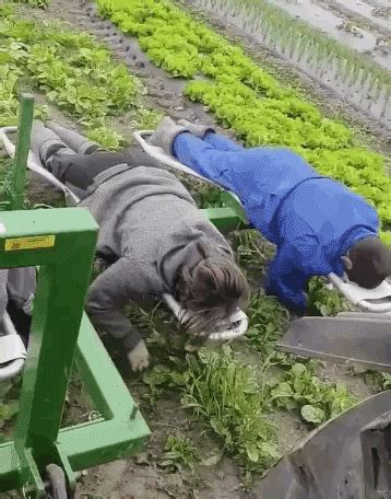 Interesting Things 的图像结果