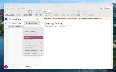 Image result for Restore OneNote Manually