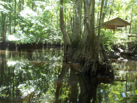 St. George, SC Map & Directions - MapQuest