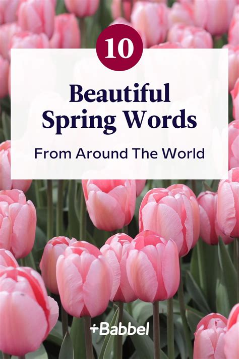 Image result for Spring Words