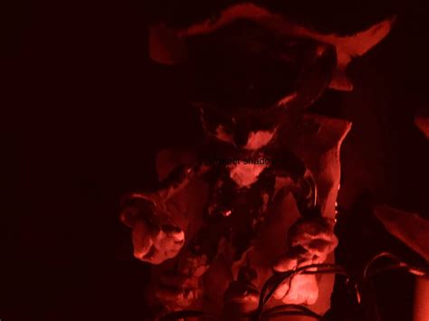 Project Shadow 的图像结果