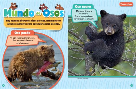 Bear In Spanish Oso at Oscar Corey blog