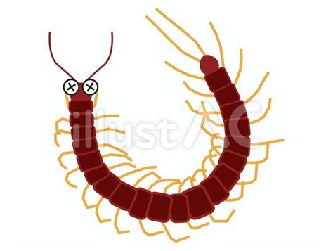 Image result for Python Coding Worksheets
