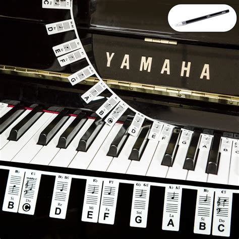 Image result for Musical Keyboard Notes