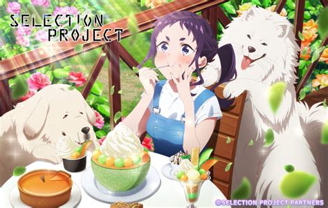 Image result for Selection Project 9