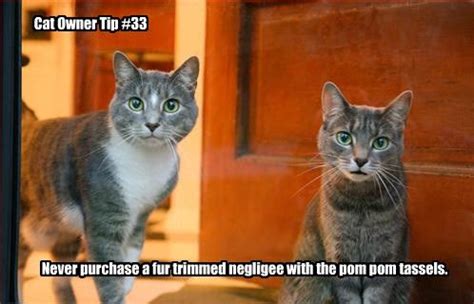 Image result for Invented Algorithm Math