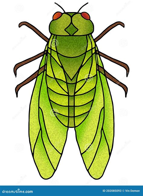 Cicadas Invasion, A Huge Number Of Cicadas In City, Clouds Of Insects ...