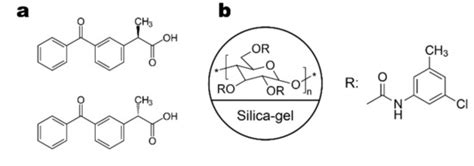 The Effect of Enantiomer Elution Order on the Determination of Minor ...