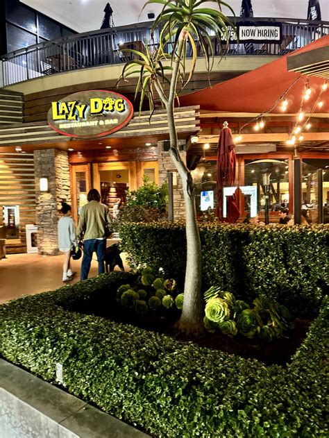 Lazy Dog Restaurant & Bar - Torrance California Restaurant - HappyCow