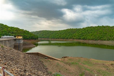 Polo Forest Tour Package - Polo Safari