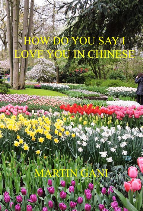 How Do You Say I Love You In Chinese eBook : Gani, Martin: Amazon.in ...