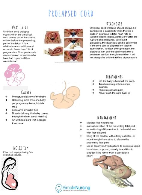 Prolapsed Cord - notes - Prolapsed cord What is it Umbilical cord ...