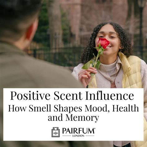 Positive Scent Influence: How Smell Shapes Mood, Health and Memory