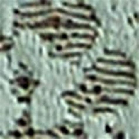 Thongs: Buy Thongs For Women Online at Best Price | Victoria's Secret India