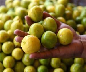 Lemon Prices: नींबू के दाम सुनकर मुंह खट्टा, जेब में भी छेद... गर्मी का ...