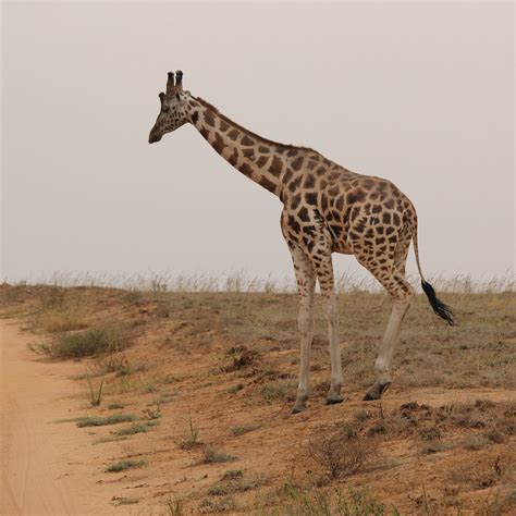 FRIENDS NATURE SAFARIS (2026) All You Need to Know BEFORE You Go (with ...