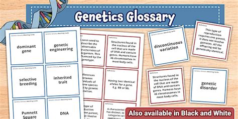 Genetics Glossary Matching Cards