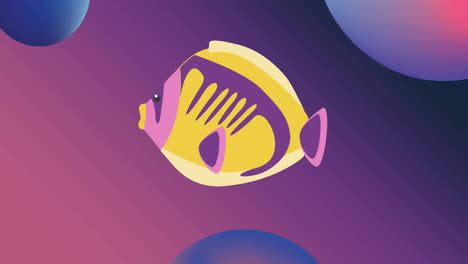 Fish Animation After Effects 的图像结果
