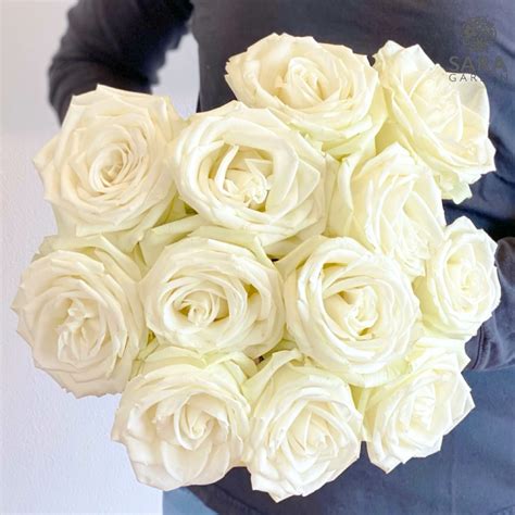 Playa Blanca - Sara Garden