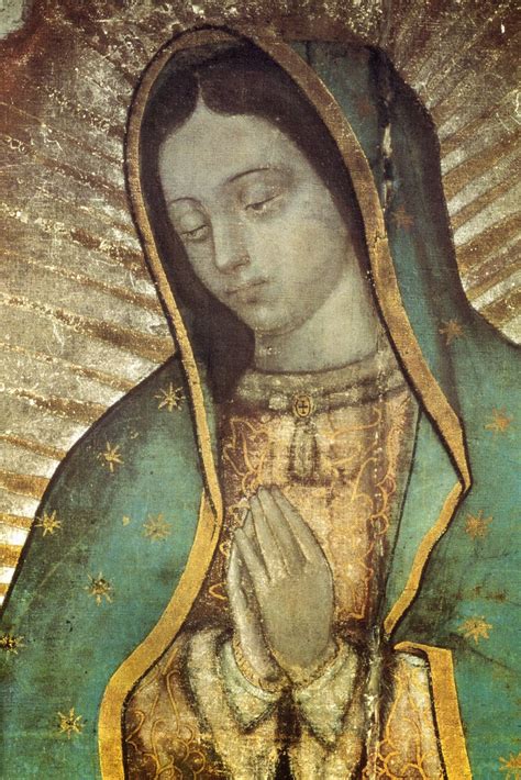 Our Lady Of Guadalupe Virgen De Guadalupe Original Oi - vrogue.co