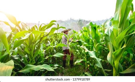 Image result for Storm Phone Model Number