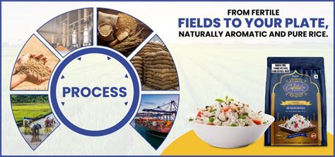 The Captial Rice | Naturally Aromatic– capitalbasmatirice