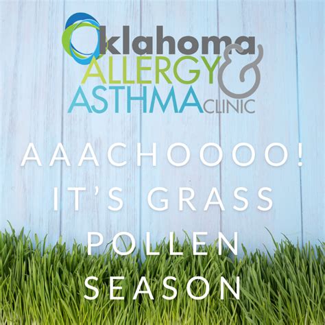 Grass Pollen Allergy | Oklahoma Allergy and Asthma Clinic