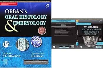 Orban's Oral Histology and Embryology (Package deal) + Wheeler's Dental ...