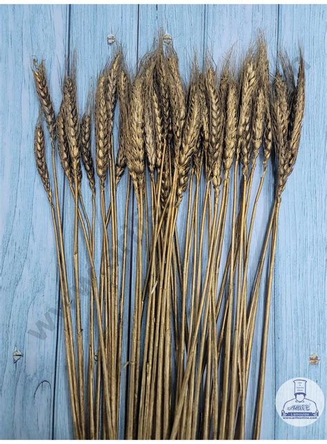 CAKE DECOR™ Natural Golden Color Dried Wheat Grass Wheat Stalks For Ca ...