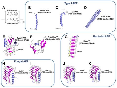 Marine Antifreeze Proteins: Structure, Function, and Application to ...