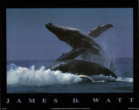 (8 x 10) Art Print PH0189 James D. Watt Whales | eBay