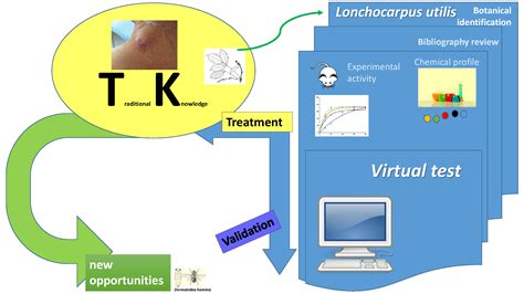 Promising Potential of Lonchocarpus utilis against South American Myasis