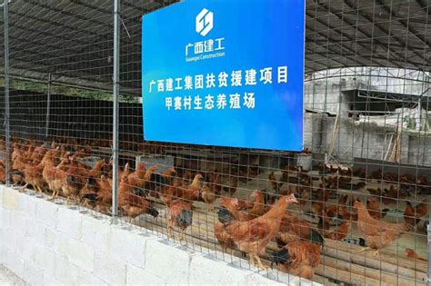 养鸡企业10月销售收入高增长 相关公司发力预制菜_种鸡_股份_养殖
