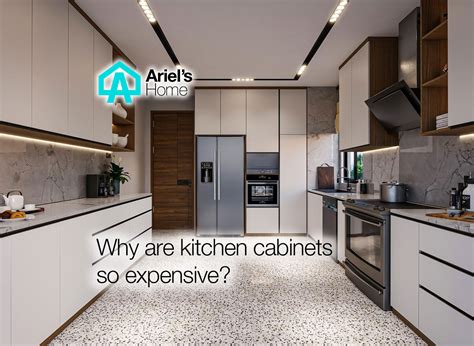 Why Kitchen Cabinets So Expensive at Tasha Hyman blog