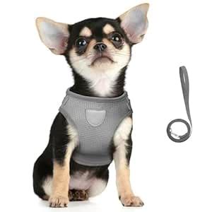 Kuber Industries Dog Chest Harness with Nylon Leash I No Pull, Soft ...