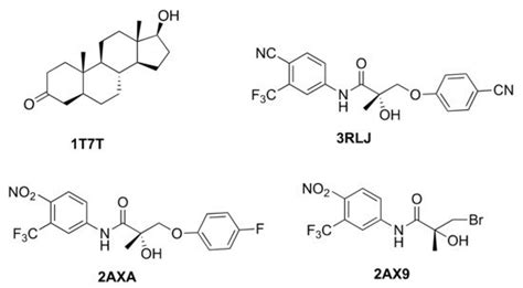 Endocrine Disruption at the Androgen Receptor: Employing Molecular ...