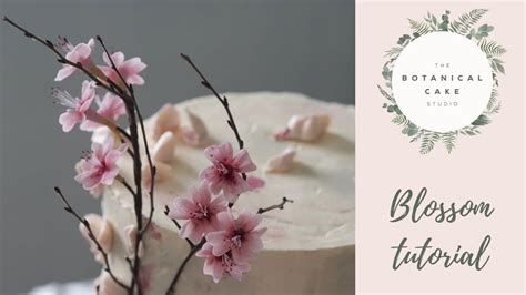 Image result for Sugar Paste Flower Tutorial