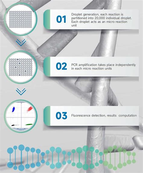 Image result for Digital PCR Tutorial